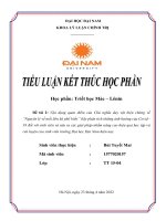 tiểu luận triết học Maclenin