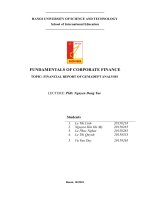 FUNDAMENTALS OF CORPORATE FINANCE TOPIC FINANCIAL REPORT OF GEMADEPT ANALYSIS 