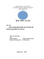 TIỂU LUẬN đề tài thực trạng phát triển các tổ chức tài chính trung gian ở nước ta