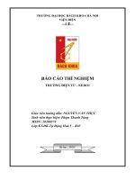 BÁO cáo THÍ NGHIỆM TRƯỜNG điện từ 2 