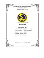 BÁO cáo bài tập lớn GIAO THỨC IPv6 
