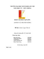 BÁO cáo bài tập lớn ANTEN và TRUYỀN SÓNG đề tài anten loga chu kỳ 