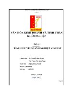 VĂN hóa KINH DOANH và TINH THẦN KHỞI NGHIỆP đề tài tìm HIỂU về DOANH NGHIỆP VINFAST
