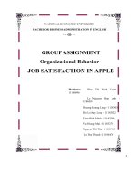 GROUP ASSIGNMENT organizational behavior JOB SATISFACTION IN APPLE 