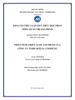 TIỂU LUẬN môn QUẢN TRỊ sản PHẨM PHÂN TÍCH CHIẾN lược sản PHẨM của CÔNG TY TNHH OFÉLIA COSMETIC 