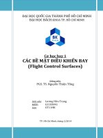 Cơ học bay 1 các bề mặt điều KHIỂN BAY (flight control surfaces) 
