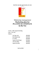 Marketing management marketing plan for PLATINUM CINEPLEX in ha noi 