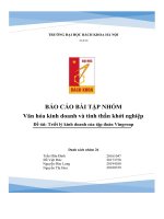 BÁO cáo bài t NHÓM ập văn hóa kinh doanh và tinh thần khởi nghiệp đề ủ tài triết lý kinh doanh c a t ập đoàn vingroup 
