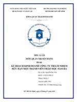 TIỂU LUẬN kế HOẠCH KINH DOANH CÔNG TY TRÁCH NHIỆM hữu hạn một THÀNH VIÊN THẢO mộc FLEURA 