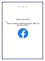 MẠNG XÃ HỘI FACEBOOK DƯỚI GÓC NHÌN VĂN HÓA ĐẠI CHÚNG