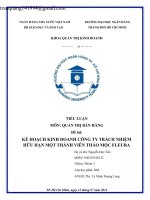 TIỂU LUẬN MÔN QUẢN TRỊ BÁN HÀNG Đề tài KẾ HOẠCH KINH DOANH CÔNG TY TRÁCH NHIỆM HỮU HẠN MỘT THÀNH VIÊN THẢO MỘC FLEURA