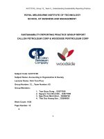 SUSTAINABILITY REPORTING PRACTICE GROUP REPORT CALLON PETROLEUM CORP  WOODSIDE PERTROLEUM CORP 