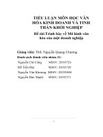 TIỂU LUẬN môn học văn hóa KINH DOANH và TINH THẦN KHỞI NGHIỆP đề tàitrình bày về mô hình văn hóa của một doanh nghiệp 