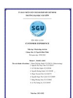 TÊN TIỂU LUẬN CUSTOMER EXPERIENCE 
