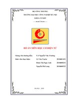 ĐỒ án môn học cơ điện tử giới thiệu về AI (artificial intelligence) và deep learning 