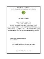 Tách chiết và tinh sạch collagen thủy phân từ da cá ngừ vây vàng (Thunnus albacares) và ứng dụng trong thực phẩm tt