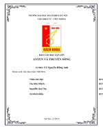 BÁO cáo bài tập lớn ANTEN và TRUYỀN SÓNG 
