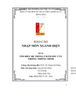 BÁO cáo NHẬP môn NGÀNH điện đề tài tìm HIỂU hệ THỐNG CHĂM sóc cây TRỒNG THÔNG MINH 