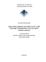 KHẢ NĂNG KHÁNG OXY HÓA VÀ ỨC CHẾ ENZYME TYROSINASE CỦA CÂY DỨA (Ananas comosus).