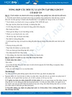 Tổng hợp câu hỏi tự luận ôn tập HK2 GDCD 9 có đáp án