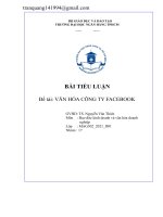 BÀI TIỂU LUẬN Đề tài VĂN Hoá Công TY FACEBOOK
