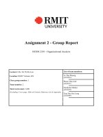 Assignment 2   group report BUSM 2301   organisational analysis 