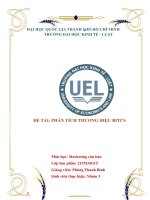 ĐỀ TÀI PHÂN TÍCH THƯƠNG HIỆU BITI’S