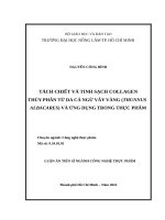 Tách chiết và tinh sạch collagen thủy phân từ da cá ngừ vây vàng (thunnus albacares) và ứng dụng trong thực phẩm 
