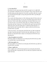 Các trường hợp cấm kết hôn theo quy định của pháp luật hôn nhân và gia đình hiện hành 