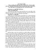 Bài tham luận: Nâng cao hiệu quả triển khai Đề án 938/QĐ-TTg “Tuyên truyền, giáo dục, vận động hỗ trợ phụ nữ tham gia giải quyết một số vấn đề liên quan đến phụ nữ” giai đoạn 2022-