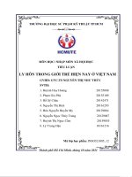 Ly hôn trong giới trẻ hiện nay ở việt nam 