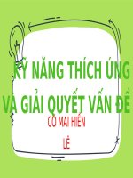KỸ NĂNG THÍCH ỨNG và GIẢI QUYẾT vấn đề kỹ NĂNG tổ CHỨC và làm VIỆC KHOA học 