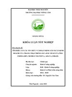 Tìm hiểu cơ cấu tổ chức và hoạt động sản xuất kinh doanh của trang trại trồng dưa hấu số 69 của ông omer adin, moshav hatzeva, arava, israel  