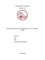 Tiểu luận hoạt động xúc tiến thương mại của các doanh nghiệp (LTM2)