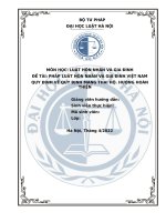 Tiểu luận pháp luật hôn nhân gia đình việt nam về quy định mang thai hộ