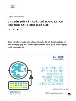 Chuyển đổi kỹ thuật số mang lại cơ hội tươi sáng cho các SME » dr.sme.edu