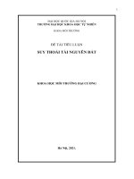 bài tiểu luận kết thúc môn