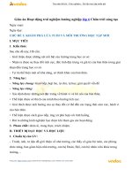 Giáo án hoạt động trải nghiệm hướng nghiệp 6 chân trời sáng tạo vndoc com 