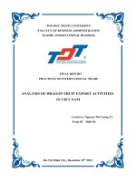 FINAL REPORT PRACTICES OF INTERNATIONAL TRADE ANALYSIS OF DRAGON FRUIT EXPORT ACTIVITIES IN VIET NAM 