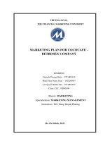 marketing plan for cococafe – betrimex company 
