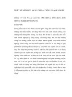 thiết kế môn học quản trị tài chính doanh nghiệp công ty cổ phần cao su tân biên ( tan bien join stock rubber company) 