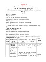 KHGD  HĐTN  SINH HOẠT lớp  NGUYỄN THỊ PHƯƠNG TRINH   NHÓM 19  