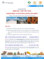 VNB-Tour-Diep-Son-Phu-Yen-3-ngày-3-dem