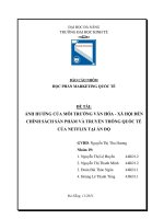 ảnh hưởng của môi trường văn hóa   xã hội đến chính sách sản phẩm và truyền thông quốc tế của netflix tại ấn độ 