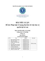 TIỂU LUẬN đề tài pháp luật về mang thai hộ với việc bảo vệ quyền lợi trẻ em 