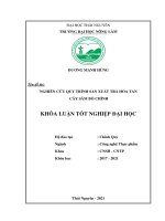 Nghiên cứu quy trình sản xuất trà hòa tan cây sâm bố chính  