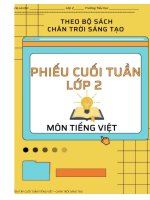phieu-bai-tap-cuoi-tuan-tieng-viet-2-sach-chan-troi-sang-taoca-nam