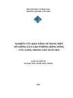 Nghiên cứu khả năng sử dụng một số giống lúa gạo ở đồng bằng sông cửu long trong sản xuất bia  