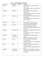 Unit 11 - Luyện chuyên sâu Ngữ pháp và bài tập (GV)