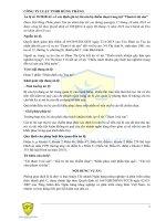 án-lệ-số-192018al-về-xác-định-giá-trị-tài-sản-bị-chiếm-đoạt-trong-tội-tham-ô-tài-sản